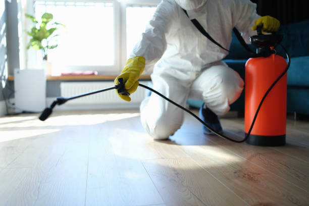 Trusted Sewage Cleanup service in Sterling, VA - Four Month Blood Cleanse